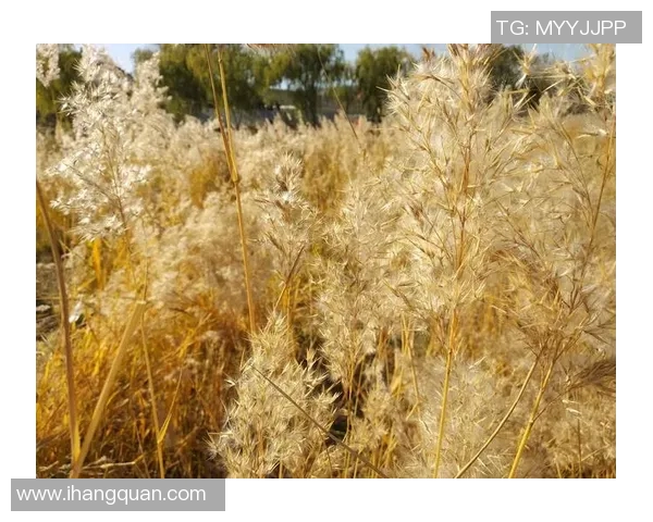 吴磊专访：畅谈网球生涯与成长历程中的点滴回忆